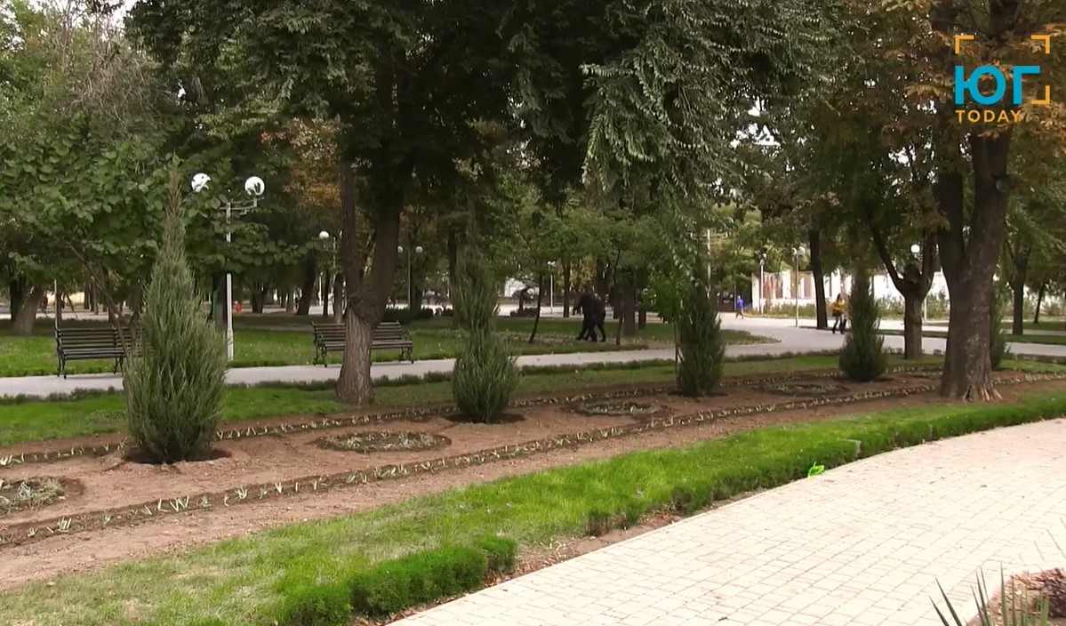 В Измаиле массовая высадка деревьев: комментарии специалистов