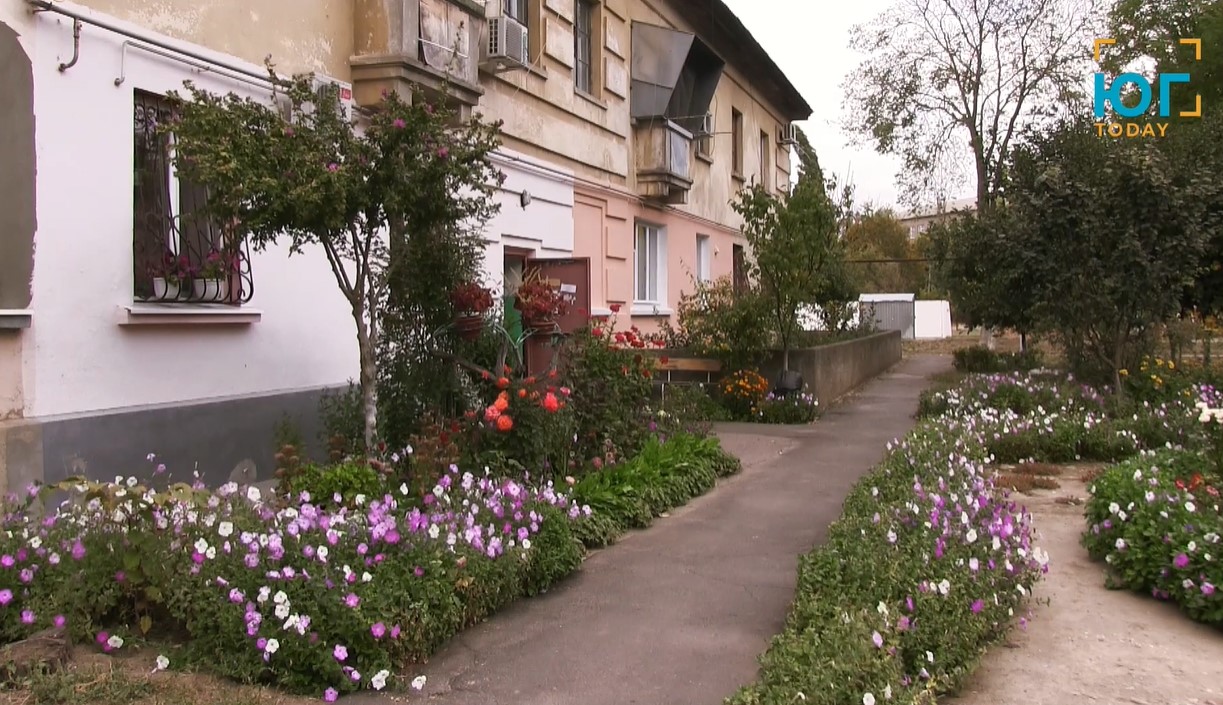 Кто может создавать красоту во дворах Измаила?