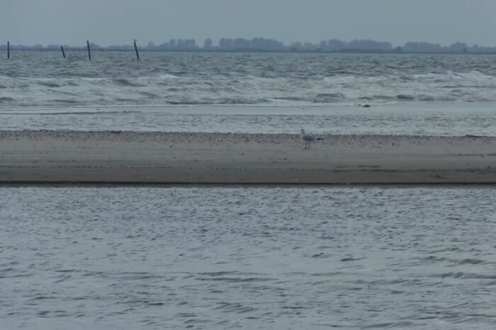 Приморское