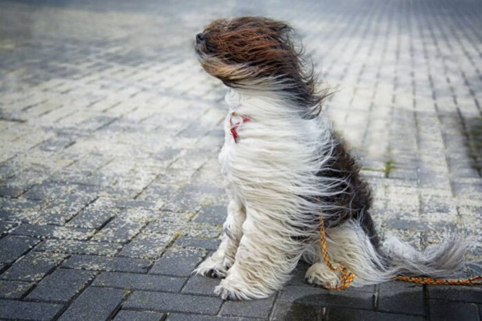 уровень опасности