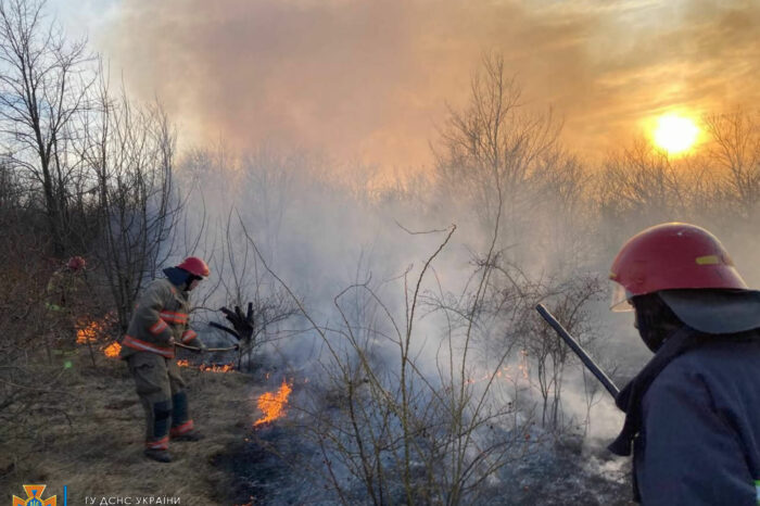 за прошедшие сутки