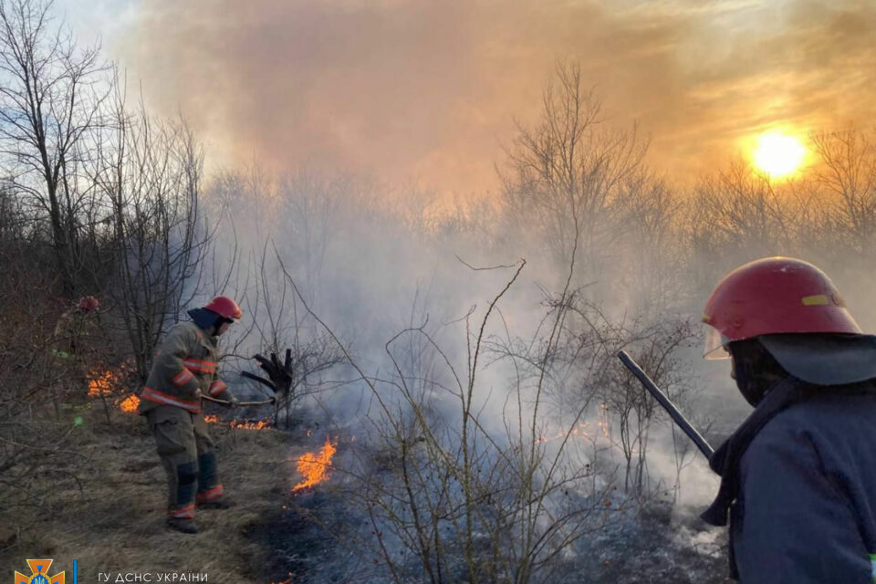 за прошедшие сутки
