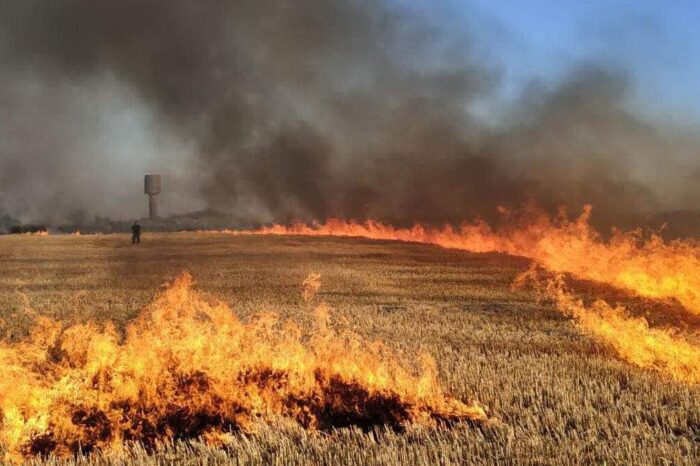 в Одесской области