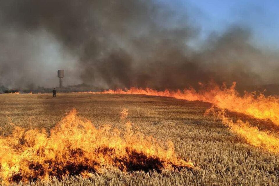 в Одесской области