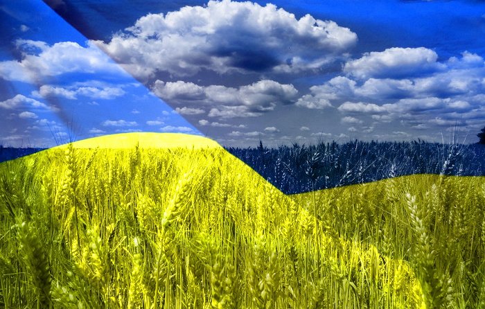 сельскохозяйтсвенній производственный кооператив