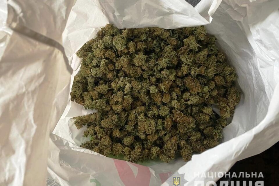 Белгород-Днестровского района