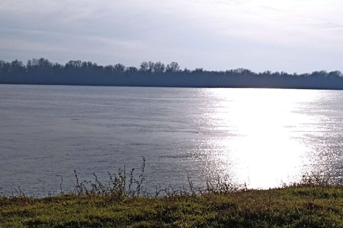 в Измаильском районе