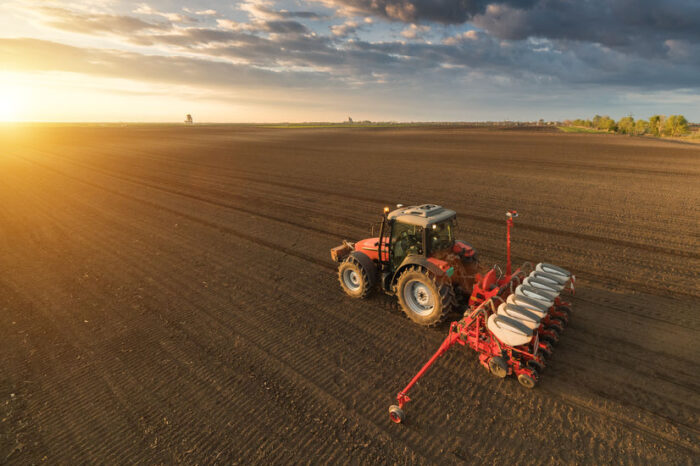 в Сафьяновской громаде