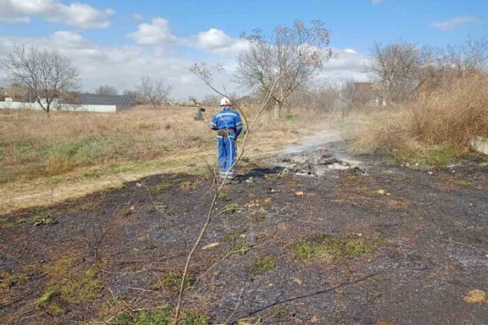 сухой травы