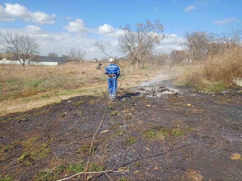 сухой травы