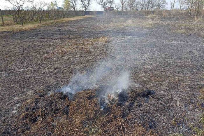 сухой растительности