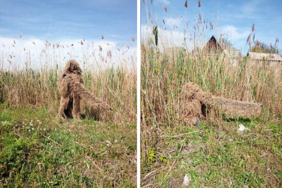 килийские волонтеры