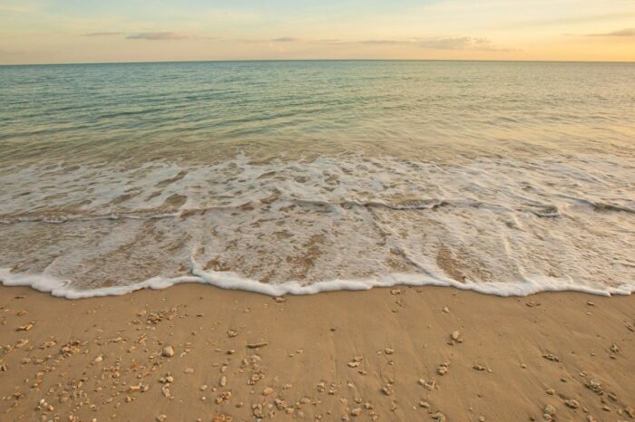 відкривати пляжі