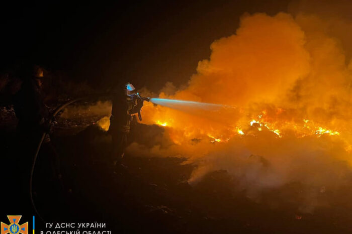 сміттєзвалищі